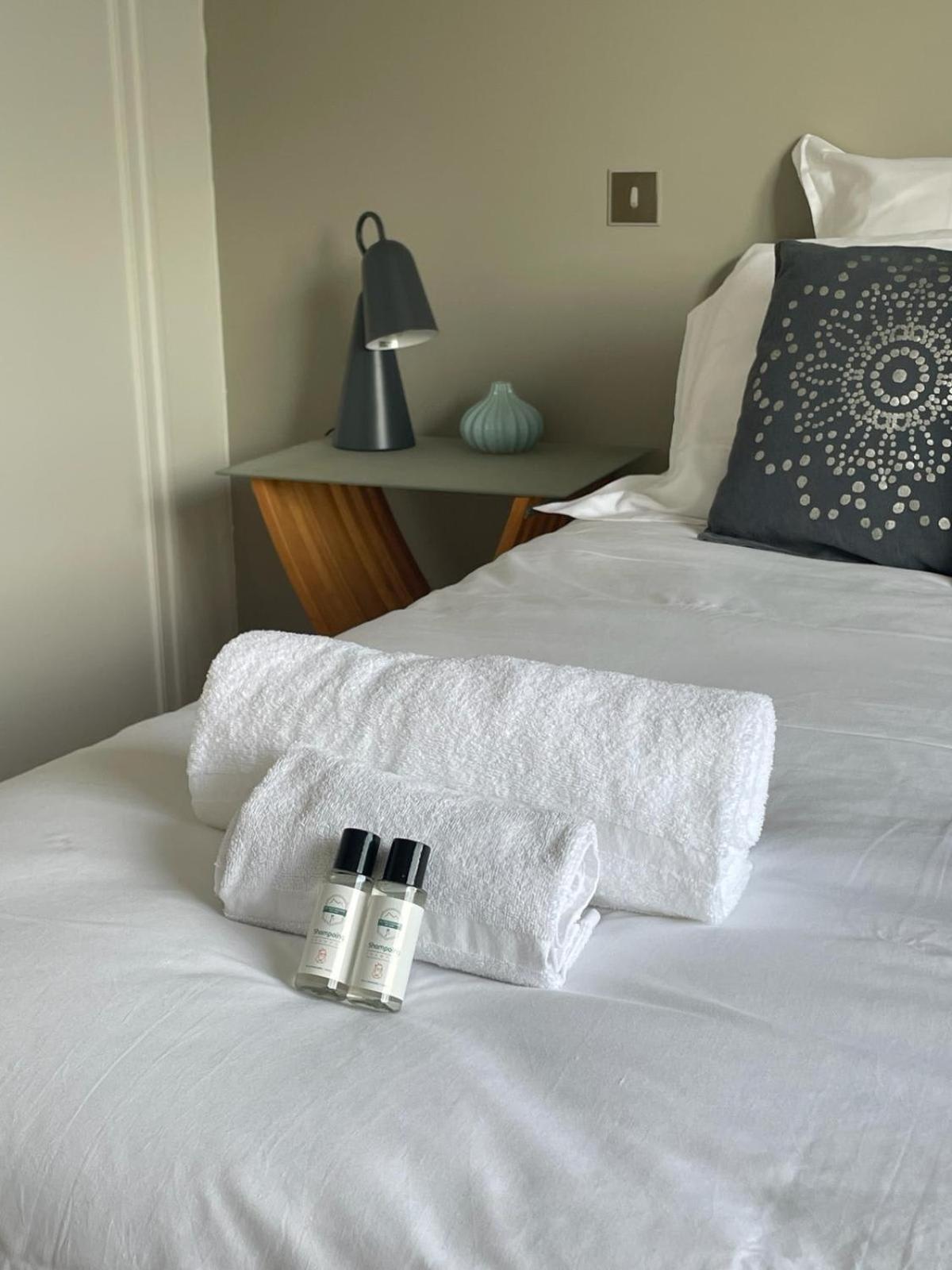 אנסי Tournette-Comfortable And Quiet Luxury Apartment מראה חיצוני תמונה